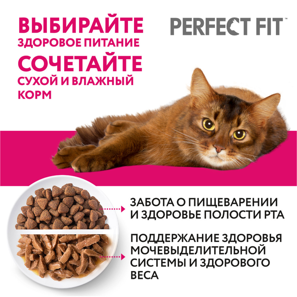 Корм сухой для котят PERFECT FIT с курицей, до 12 месяцев полнорационный,  650г, Россия, 650 г