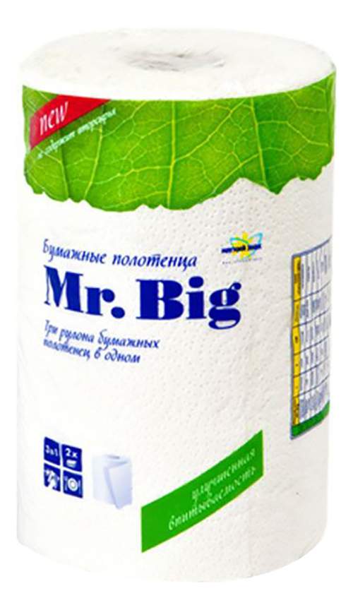 Полотенца бумажные Мягкий Знак Mr.Big 2 слоя 1 рулон - купить в ООО «Лекс», цена на Мегамаркет