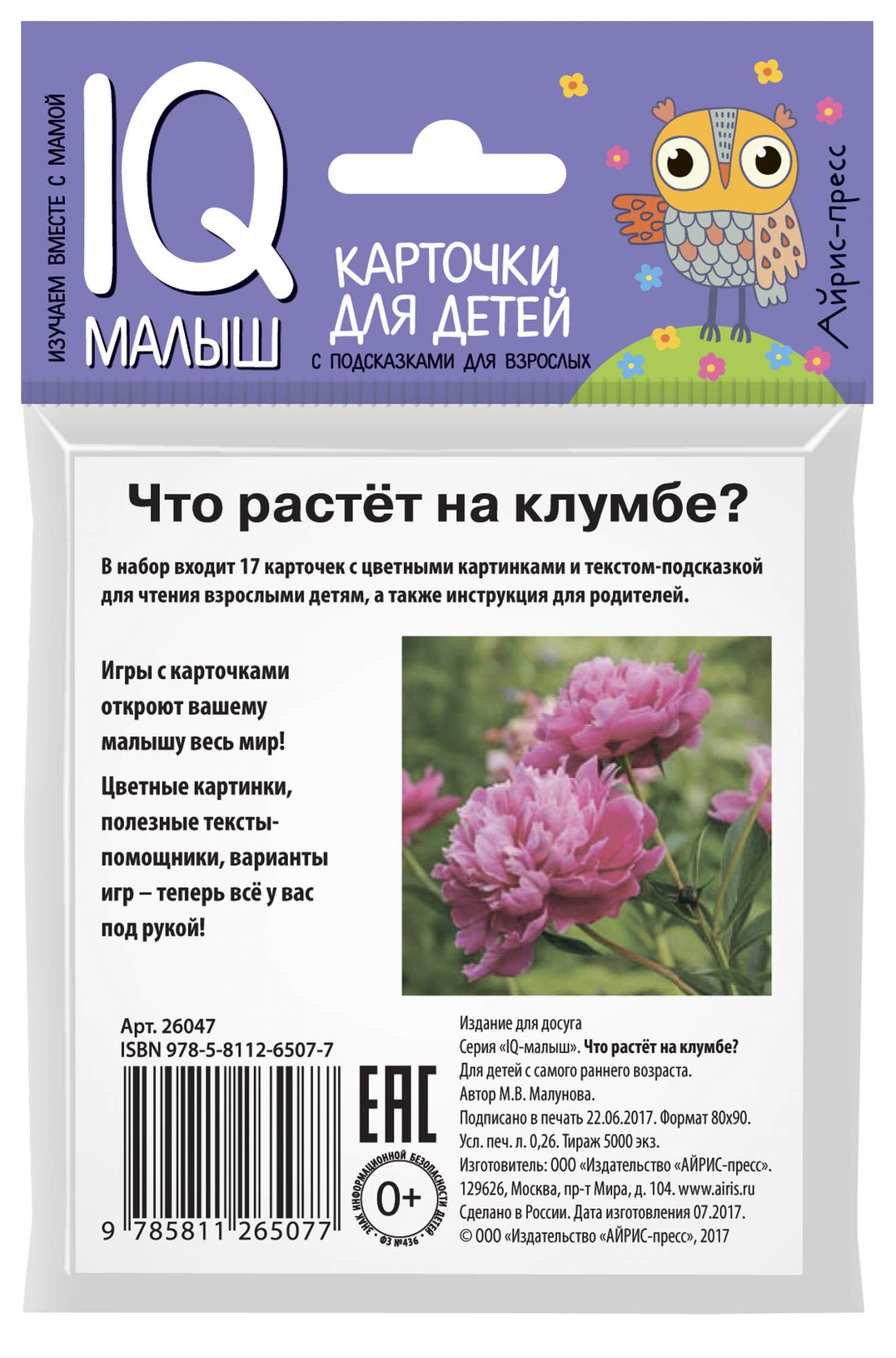 Умный Малыш, Что Растёт на клумбе? - купить подготовки к школе в  интернет-магазинах, цены на Мегамаркет | 7516016