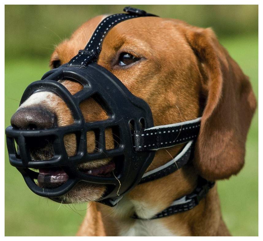 Каким собакам намордник. Намордник Muzzle Flex, силикон, m, черный 17612 Trixie. Trixie Maulkorb Muzzle Flex. Trixie мазл Флекс намордник для собак. Намордник Trixie m-l 17594.