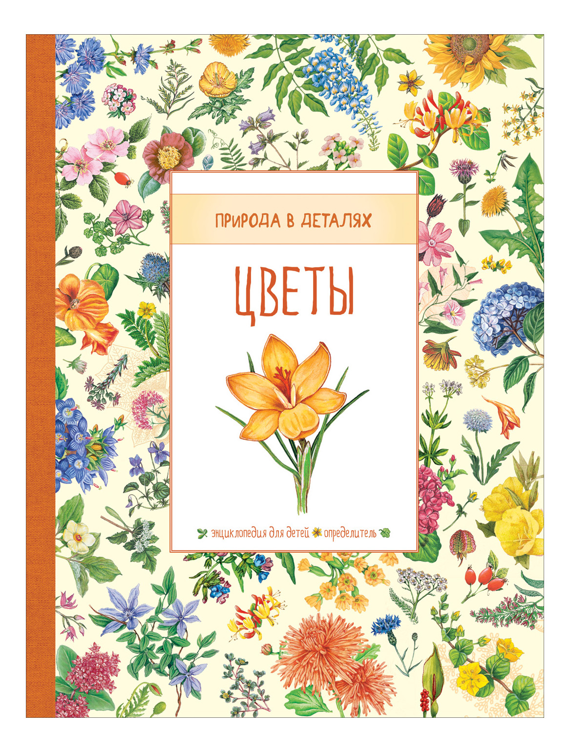 Цветные названия книг