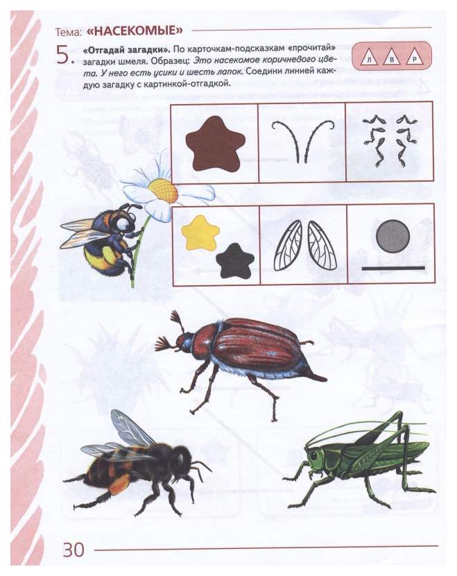 Занятие по развитию речи тема насекомые. Занятие по лексической теме насекомые в подготовительной группе. Лексическая тема насекомые в старшей. Насекомые задания для детей. Тема насекомые в подготовительной логопедической группе.