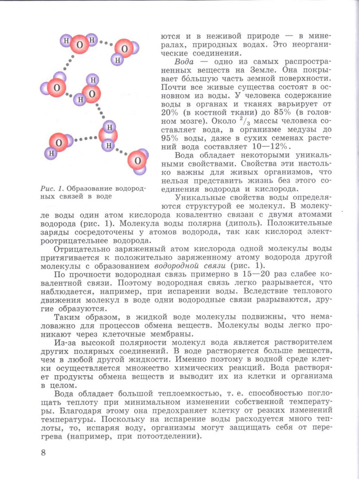 Общая биологий 10 класс беляев