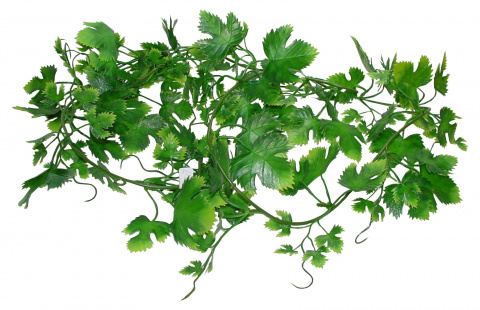Искусственное растение для террариума Lucky Reptile Gape Leaf Vine, пластик, 2м
