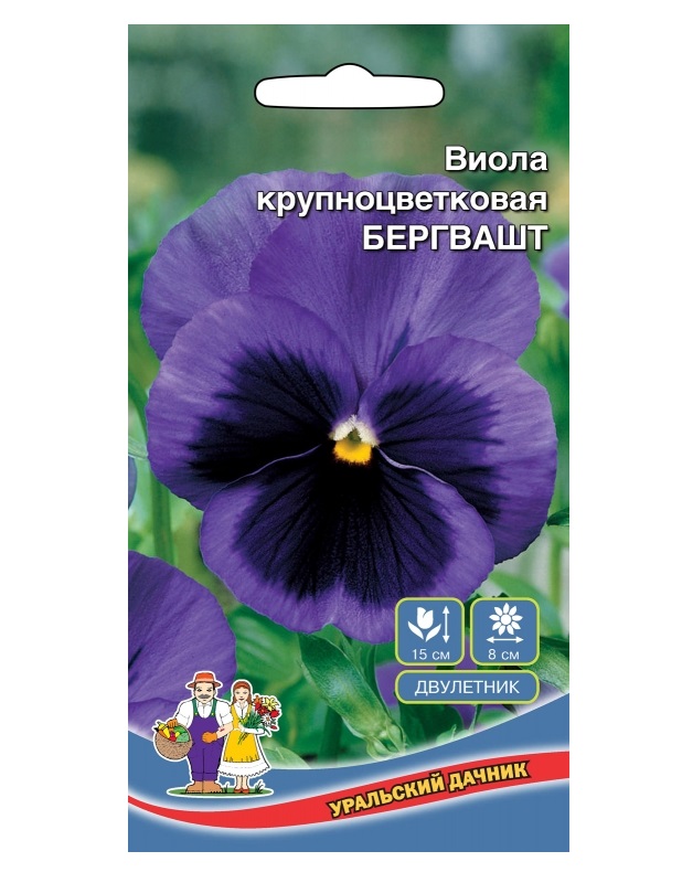 Семена Виолы Купить В Интернет Магазине