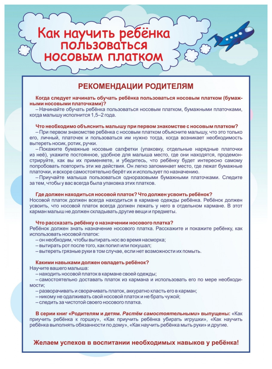 Как научить ребенка пользоваться носовым платком. Веселые занятия с  Плюшиком - купить развивающие книги для детей в интернет-магазинах, цены на  Мегамаркет | НШР-3