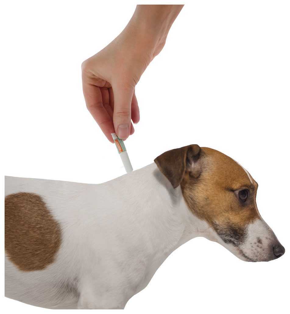 Капли для собак против паразитов Bayer Адвокат, до 4 кг, 1 пипетка, 0,4 мл