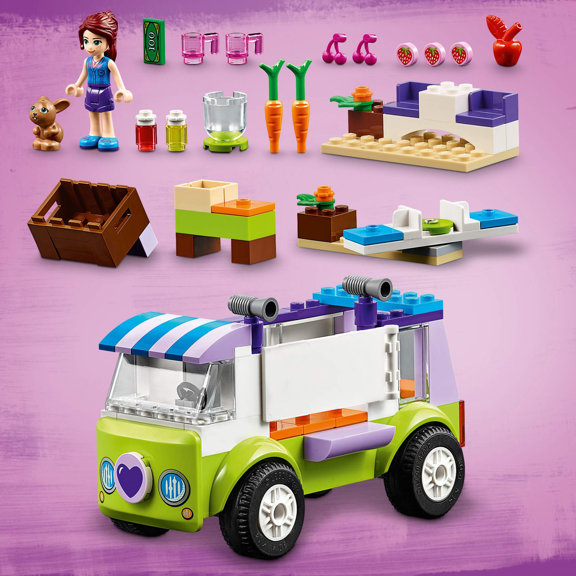 Lego friends hot sale juniors 10749