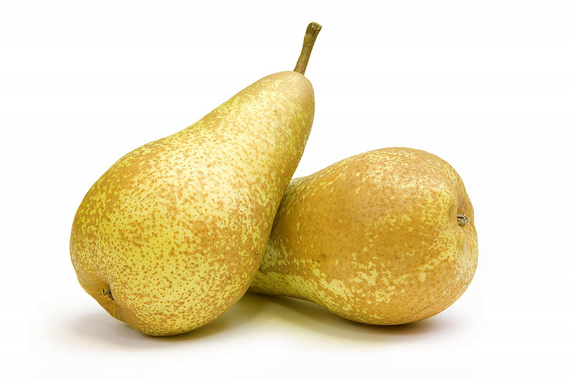 Груша колоновидная кармен. Груша дич. Груша колоновидная кармен. Груши сезонные. Груша колоновидная кармен.