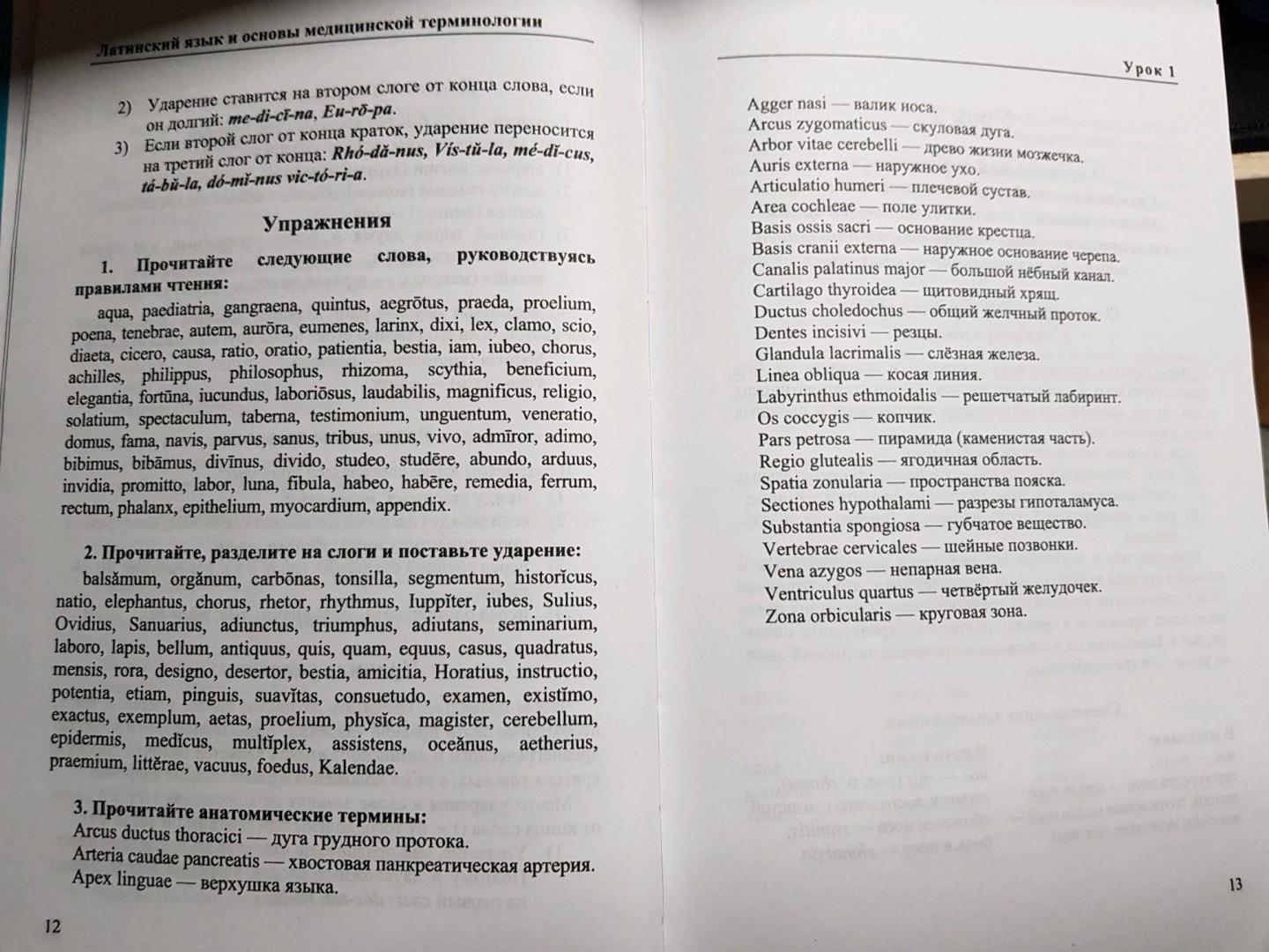 Латинский язык и основы медицин.терминологии дп / Марцелли А.А. – купить в  Москве, цены в интернет-магазинах на Мегамаркет