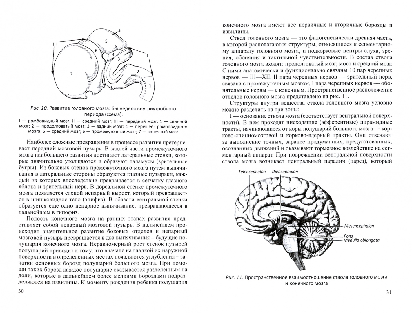 Книга Функционально-клиническая анатомия головного мозга. 2-е изд.,  перераб. и доп. / Г... - купить здравоохранения, медицины в  интернет-магазинах, цены на Мегамаркет | 9785299007091