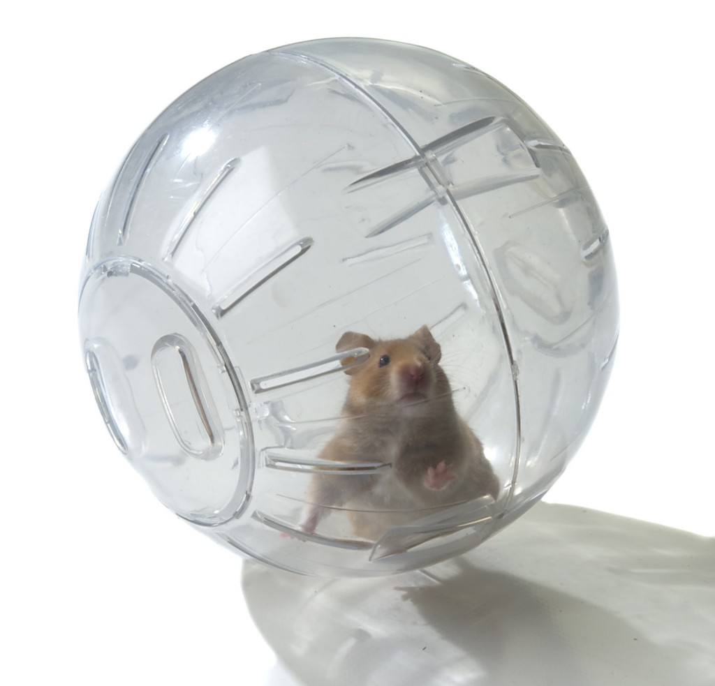 Прогулочный шар для хомяков Savic Mouse Hamster, пластик, в ассортименте, 18 см