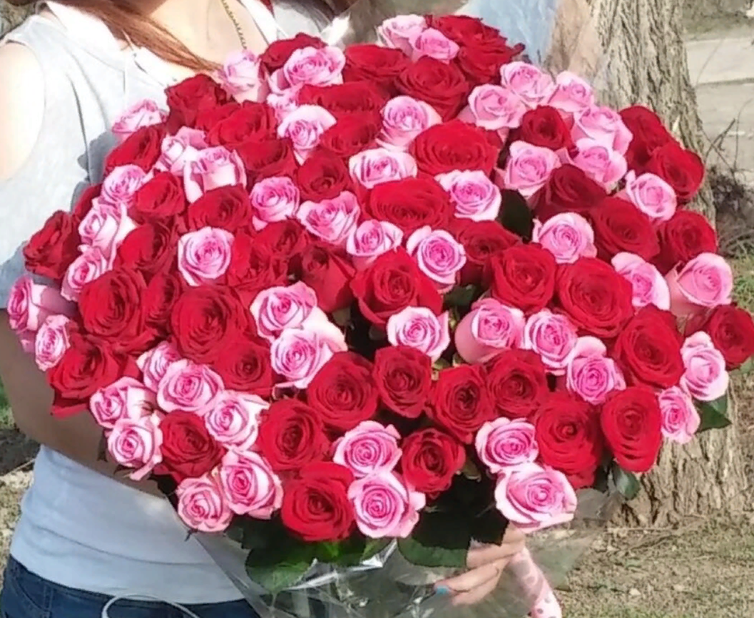 Купить Букет 101 Роза Саратов