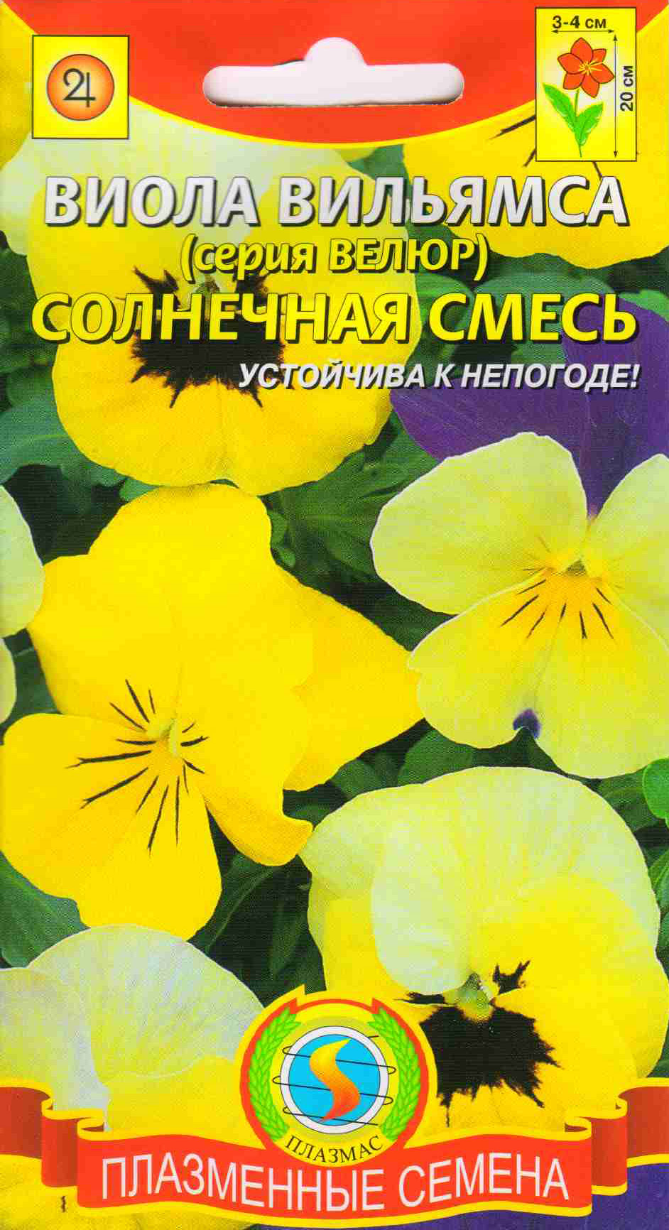 Виолла - солнечный день - 40 фото Виолла - солнечный день - 40 фото