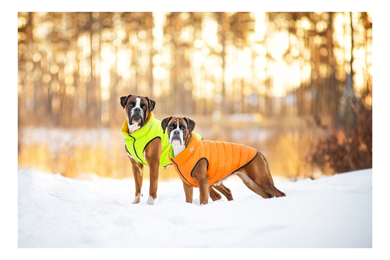 Куртка для собак AiryVest размер M унисекс, зеленый, оранжевый, длина спины 47 см