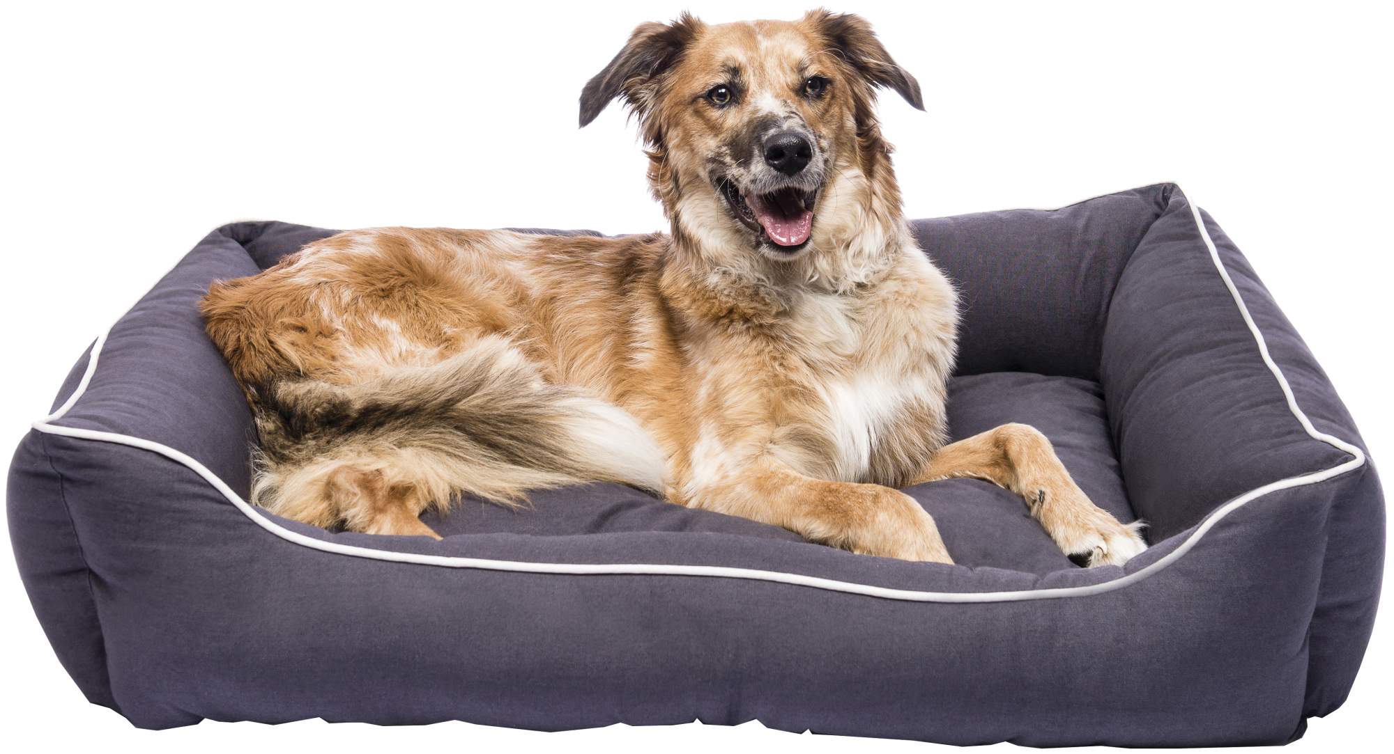 Лежак для собак Comfy Emma XL 70х60х18 см