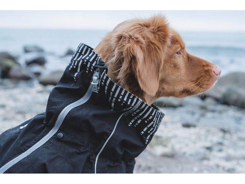 Комбинезон Hurtta Downpour Suit черный для собак (25 L, Черный)