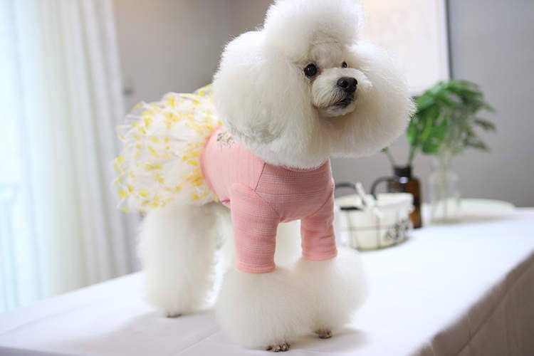 Платье для собак и кошек Nicovaer Принцесса, розовое, XL
