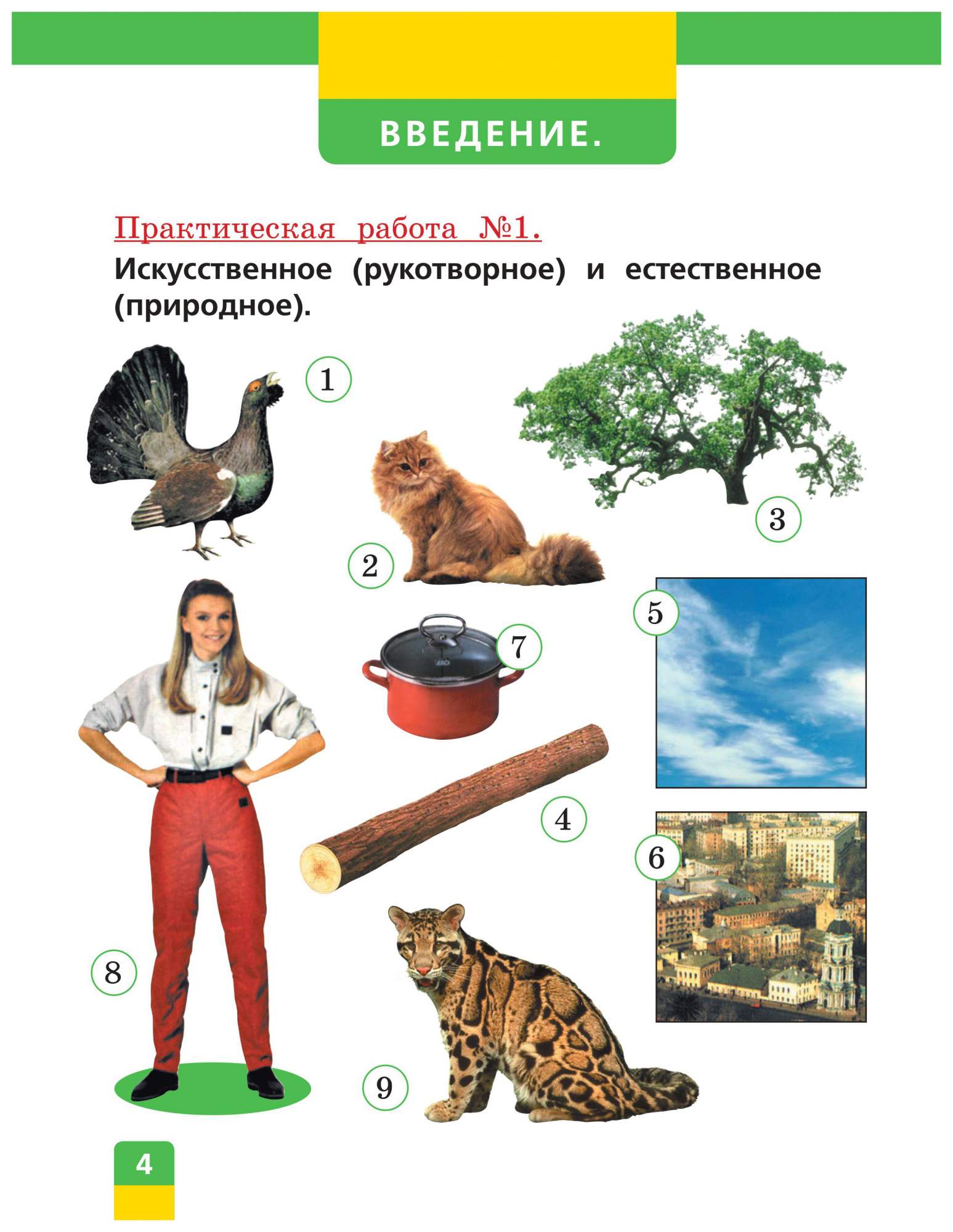 Учебник Чудинова. Окружающий Мир. 1 кл. ФГОС - купить учебника 1 класс в  интернет-магазинах, цены на Мегамаркет |