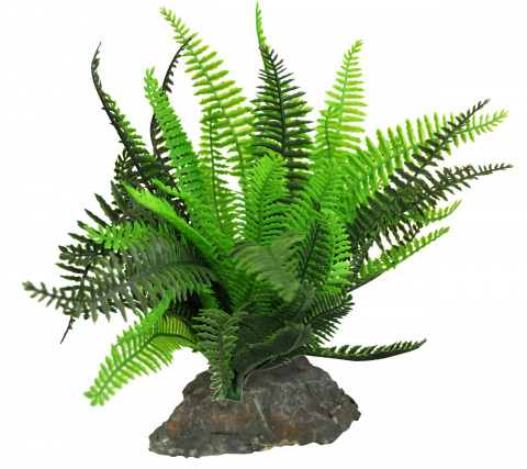 Искусственное растение для террариума Lucky Reptile Fern, пластик, 25см