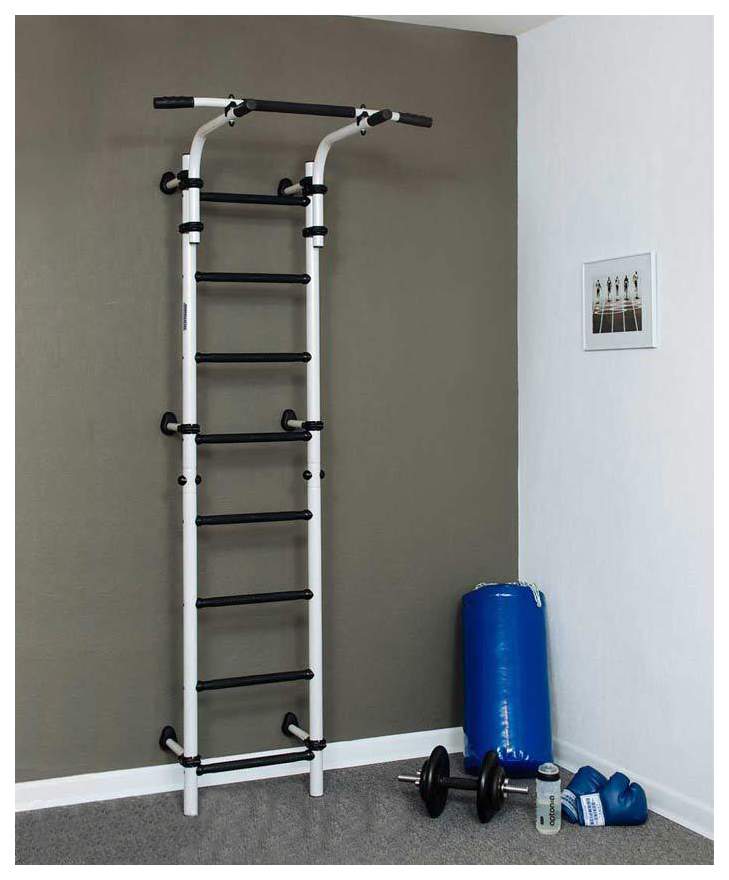 Спортивный комплекс характеристика. Спорткомплекс Тинейджер. Спортивный детский комплекс мечта тинейджира серебрянный антик. Карусель Тинейджер 410.