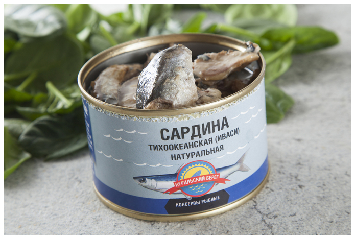 Сардина рыба фото как выглядит