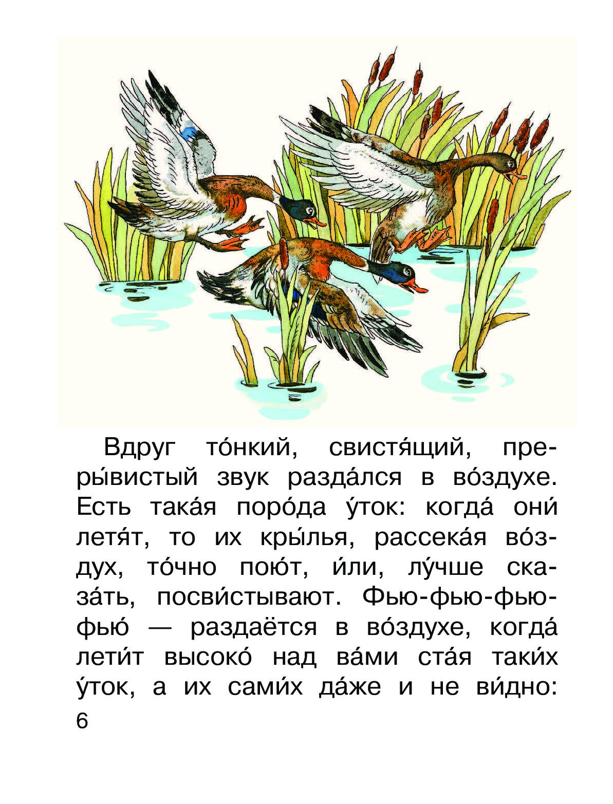 Чтение лягушка путешественница. Рассказ лягушка путешественница. Гаршин сказка лягушка путешественница. Сказка лягушка путешественница читать. Аннотация лягушка путешественница.