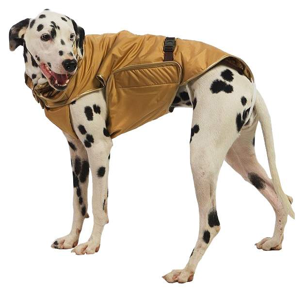 Попона для собак ТУЗИК размер 5XL унисекс, коричневый, длина спины 65 см