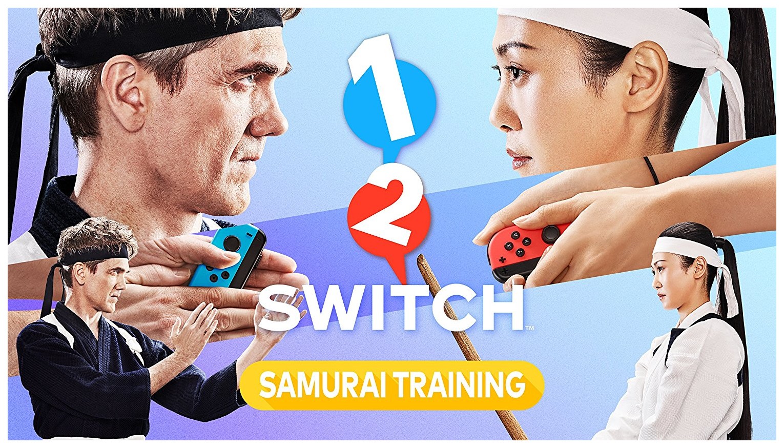 Игра 1-2-Switch для Nintendo Switch, купить в Москве, цены в  интернет-магазинах на Мегамаркет