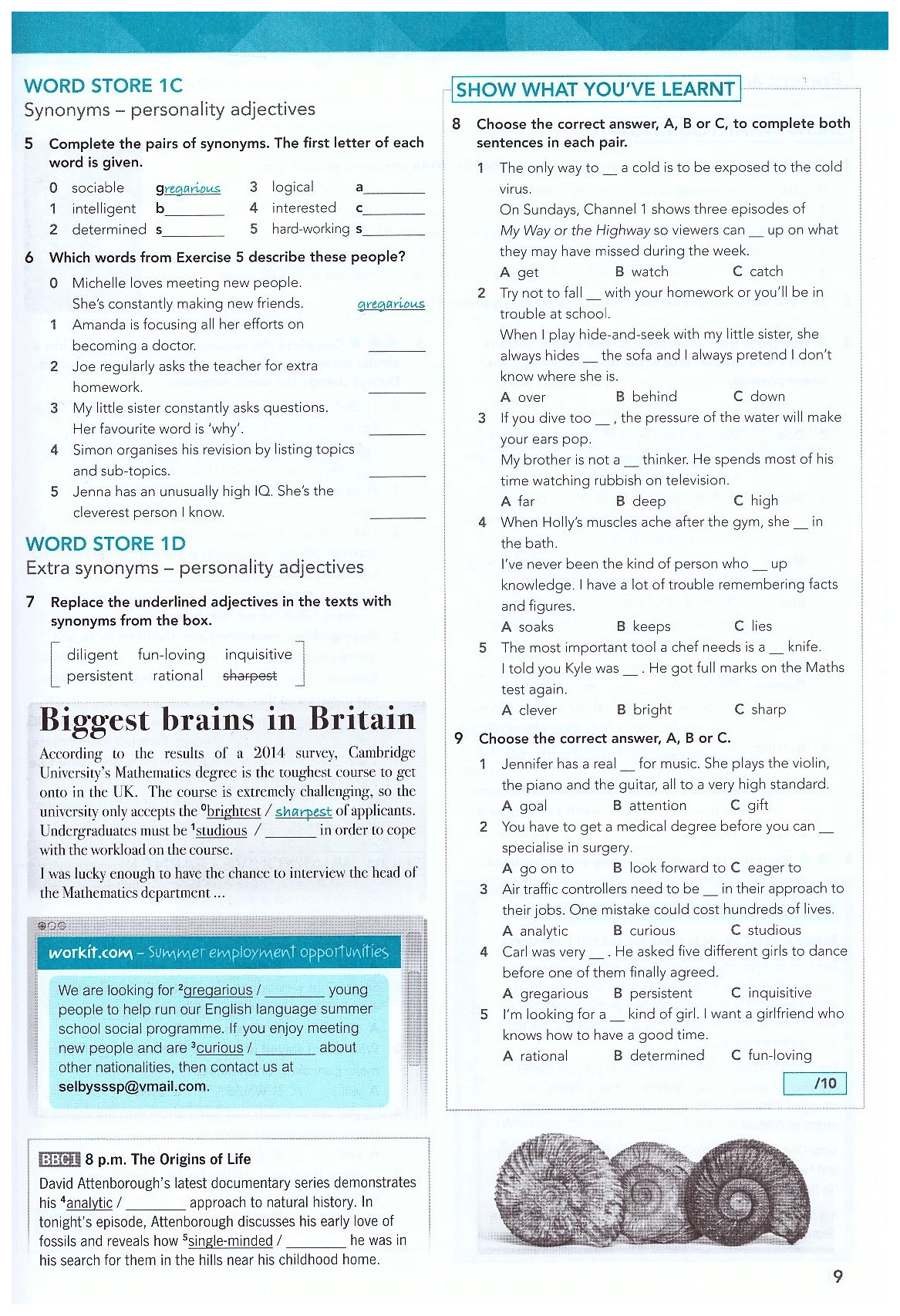 Pearson Focus 4. Workbook - купить самоучителя в интернет-магазинах, цены  на Мегамаркет |