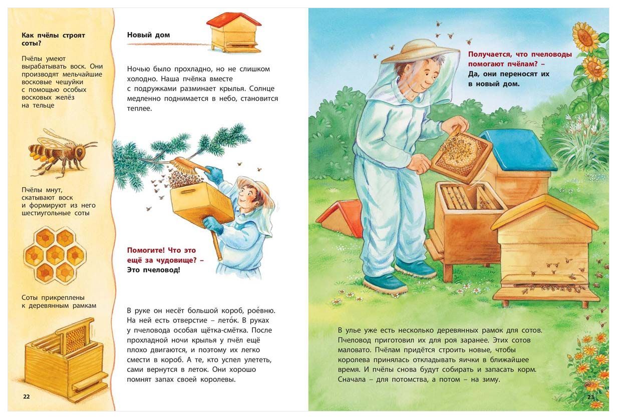 Как Живет пчелка - купить детской художественной литературы в  интернет-магазинах, цены на Мегамаркет |