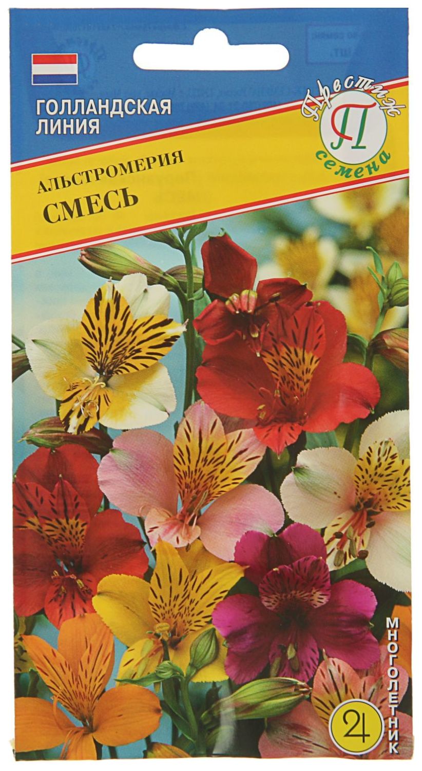 Альстромерия семена как выглядят Семена альстромерия Престиж смесь 212147 1 уп. - отзывы покупателей на Мегамарке