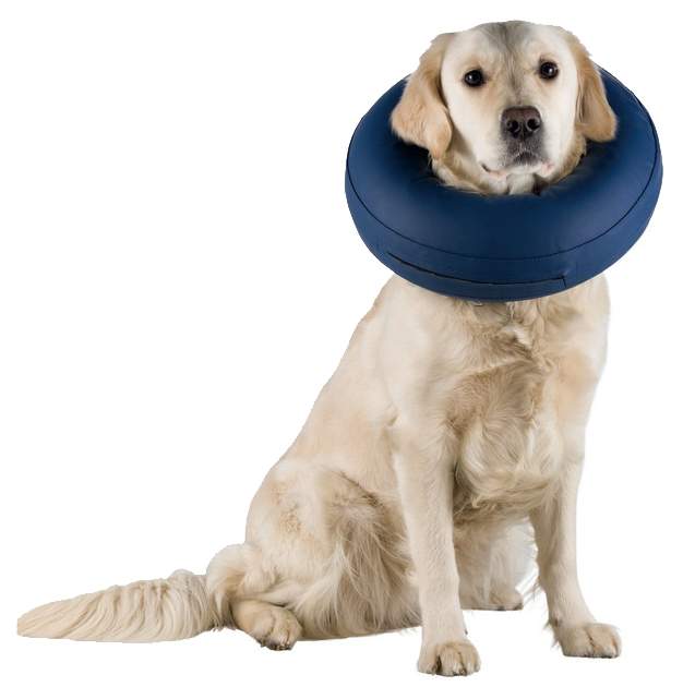 Защитный воротник для собак Trixie Protective Collar L, синий