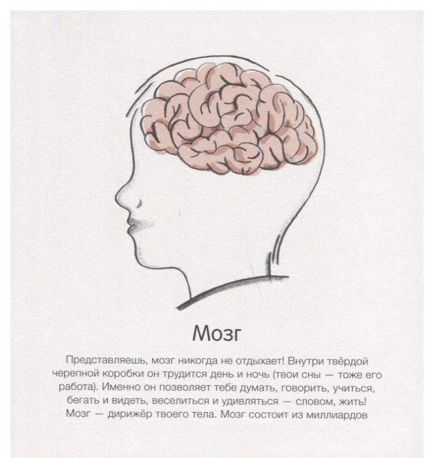 Жить в твоей голове. И живет в голове женщины странный. Непонятное настроение. Жить в твоей голове и любить тебя неоправданно. Таракашки в голове.