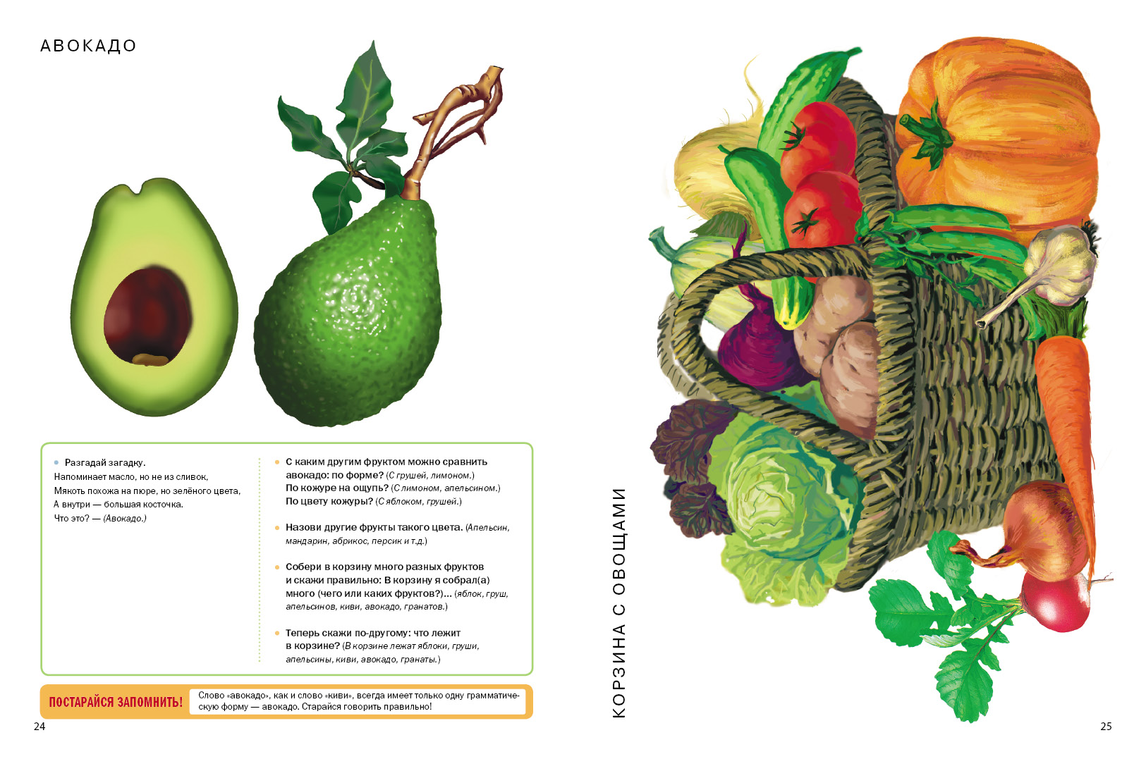 Фрукты. Овощ и тематический Словарь В картинках: Мир Растений и Грибов -  купить развивающие книги для детей в интернет-магазинах, цены на Мегамаркет  | 0106