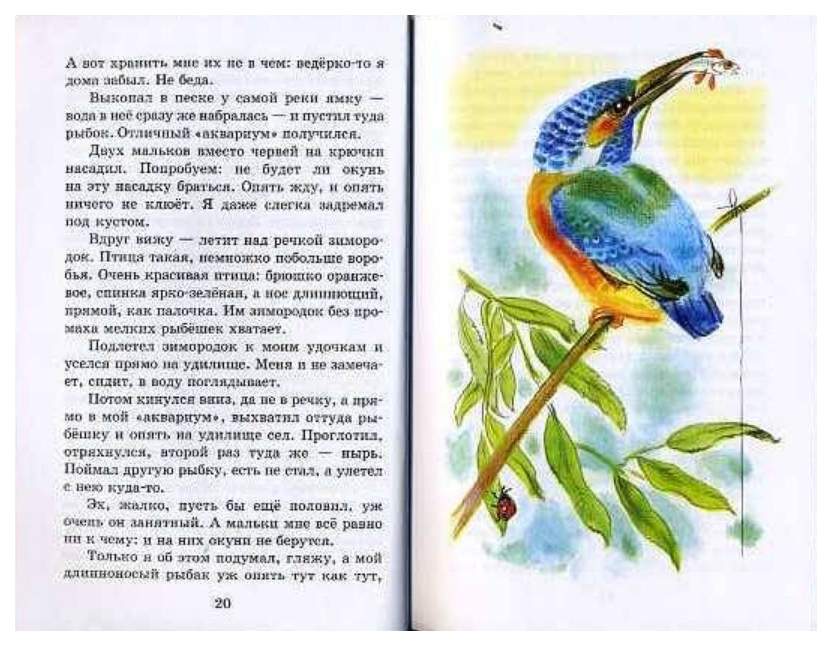 Рассказы паустовского о природе. Рассказы о природе Паустовский Скребицкий Ушинский Бианки. Рассказы о природе Паустовский Скребицкий. Книга рассказы о природе Паустовский Скребицкий в. Бианки. Скребицкий рассказы о природе иллюстрации.