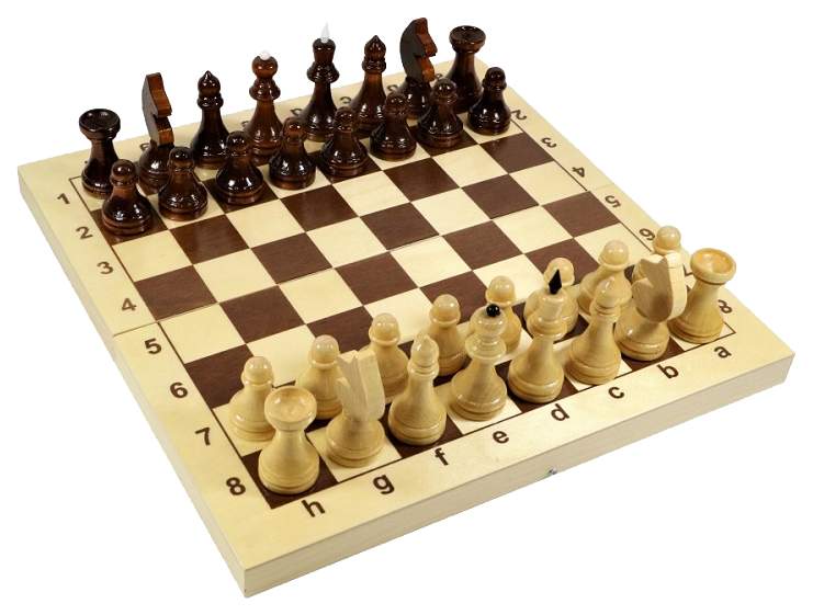 Шахматы Десятое Королевство 02845ДК
