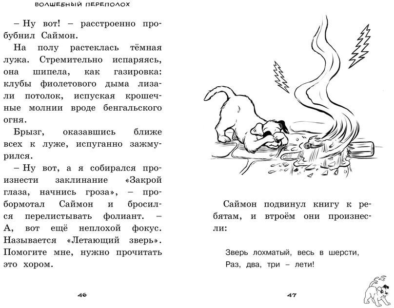 Брызг чудо щенок. Волшебный переполох. Сказочный переполох. Волшебный переполох в стране фей. Сказка про волшебного щенка.