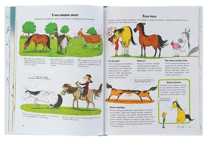 Рассказы о говорящих животных. Рассказы о говорящих животных. Рассказы о животных. Рассказы о говорящих животных. Рассказы о говорящих животных.