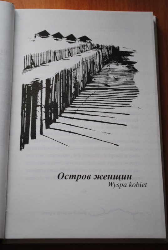 За стенкой книга полностью