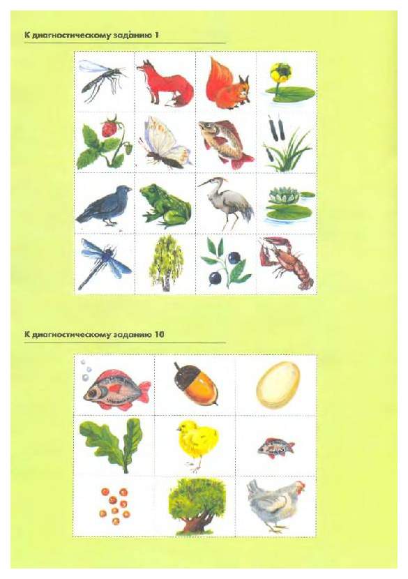 Задания по экологии. Задания по экологии для дошкольников. Экология задания для дошкольников. Карточки с заданиями по экологии. Задания по экологии для старших дошкольников.