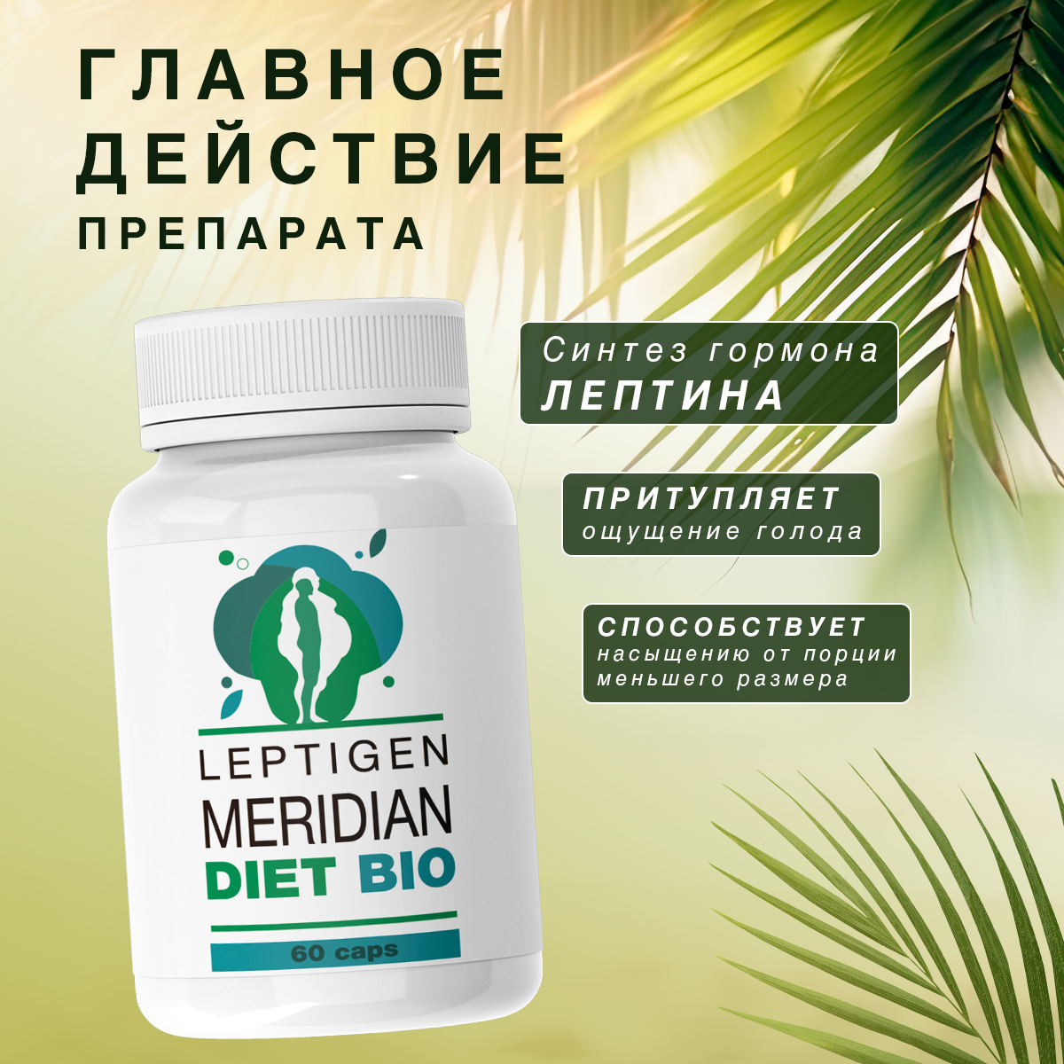 Капсулы leptigen meridian diet. Капсулы Лептиген Меридиан. Капсулы для похудения Leptigen. Balance Leptigen Meridian Diet Bio.