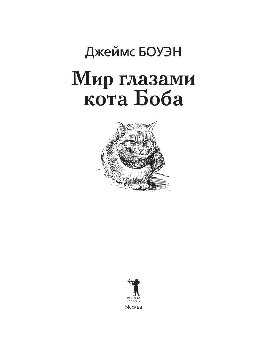 Книга глазами кота. Мир глазами кота Боба книга. Приключения кота Боба книга.