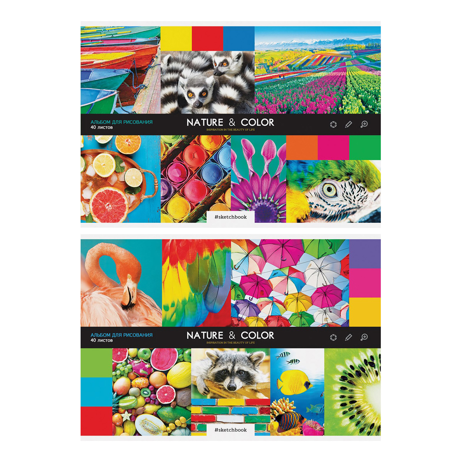 Альбом для рисования ArtSpace Стиль Nature and Color 40 л А4 на скрепке в ассортименте