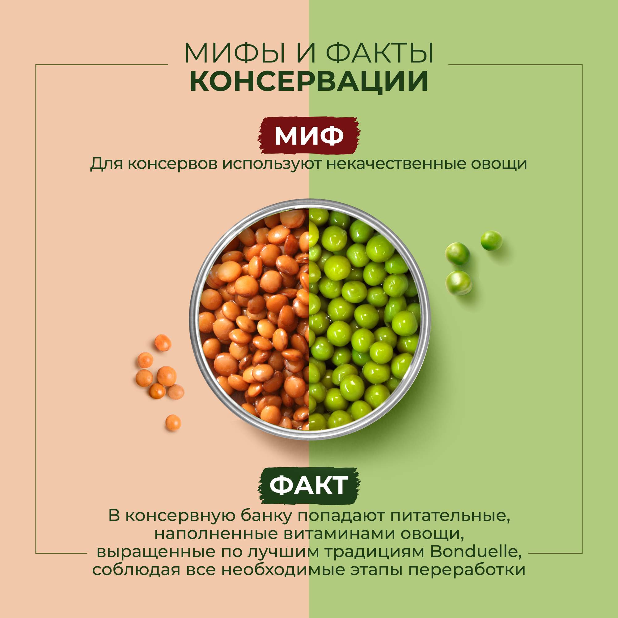 Купить горошек зеленый Bonduelle молодой ранний урожай 200 г, цены на  Мегамаркет | Артикул: 100026488597