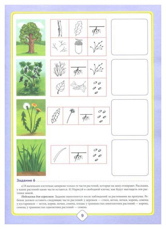 Экология для детей 6 7 лет. Задания по экологии. Задания по экологии для детей. Модель растения для дошкольников. Растения задания для дошкольников.