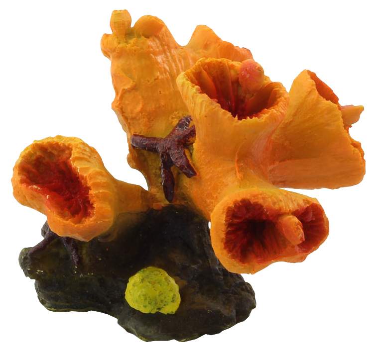 Искусственный коралл Laguna Кауластрея, оранжевый, 11х8.5х10 см