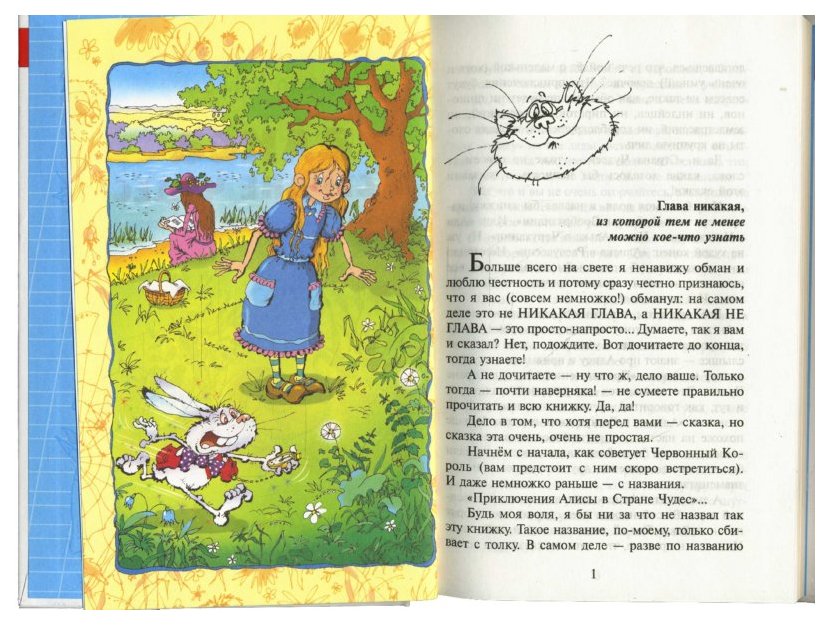 В стране чудес 1 глава читать. Кэрролл "Алиса в стране чудес". Книга Алиса в стране чудес. Книга Алиса в стране чудес библиотека. Алиса в стране чудес книга Школьная библиотека.
