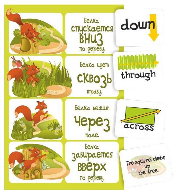 Как по английски белка. Предлоги на английском карточки. Карточки английские предлоги движения. Предлоги места в английском языке карточки. Предлоги в английском языке карточки.