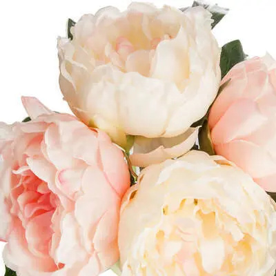 Пионы Цветы Купить Казань